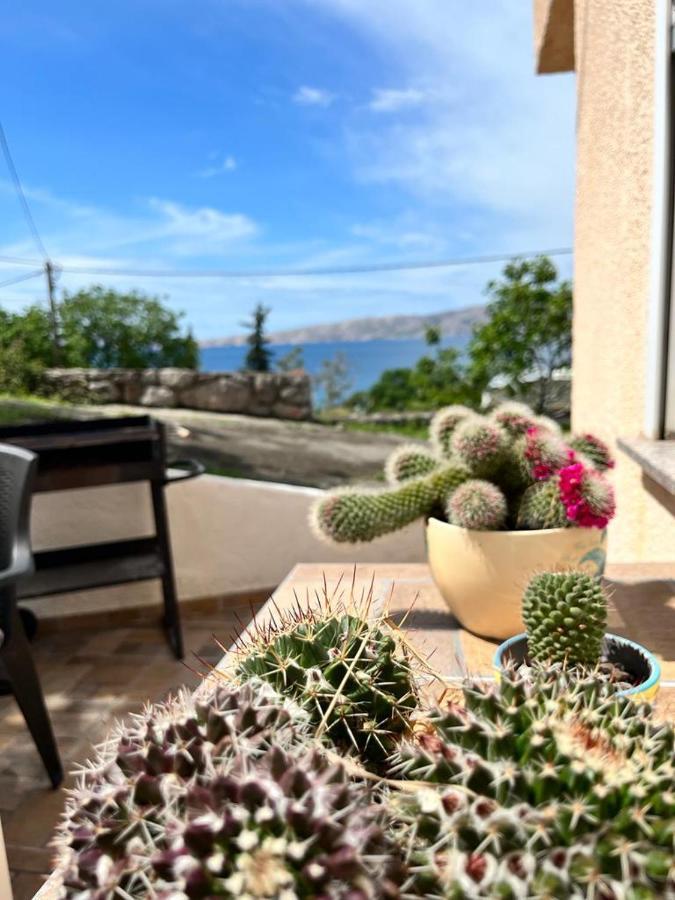 Apartman Luka 克罗诺维察 外观 照片